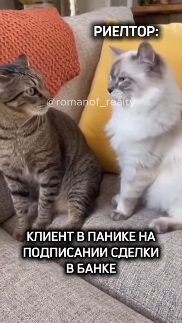 Клиент на сделке в банке 😁