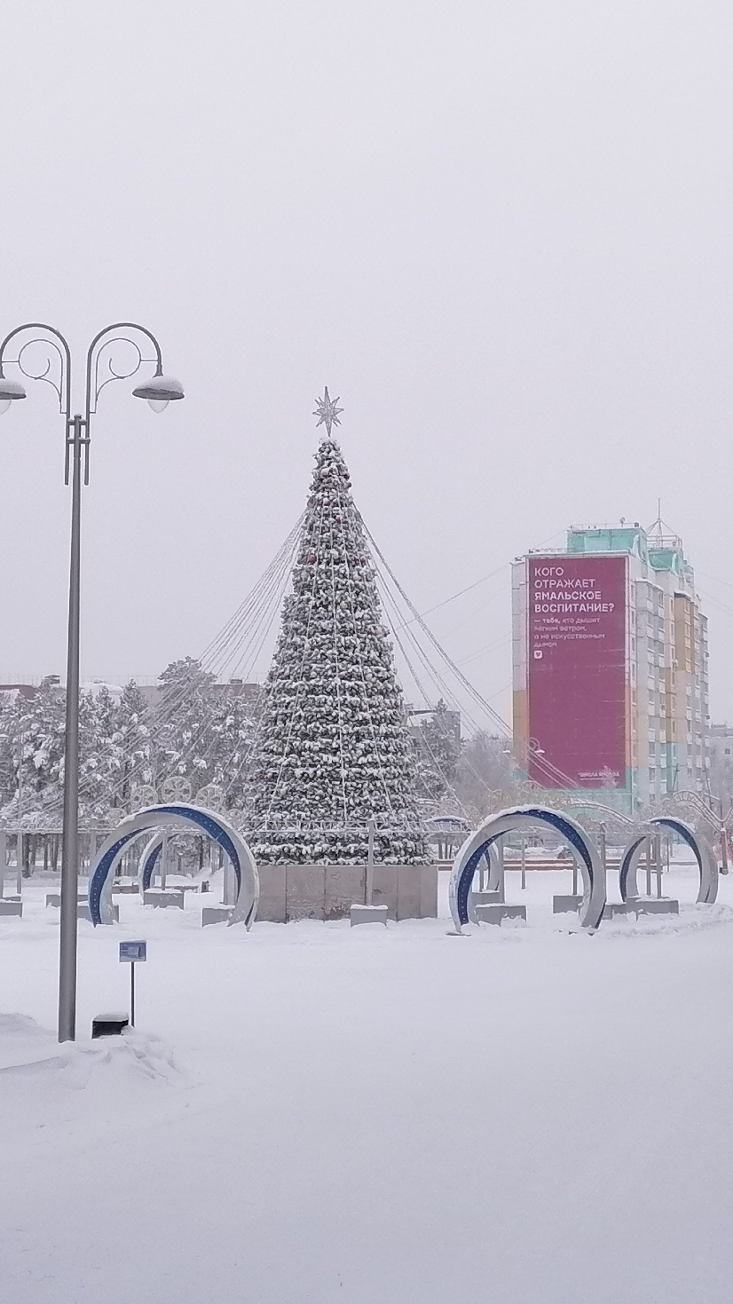 Прогулка по парку смотреть онлайн