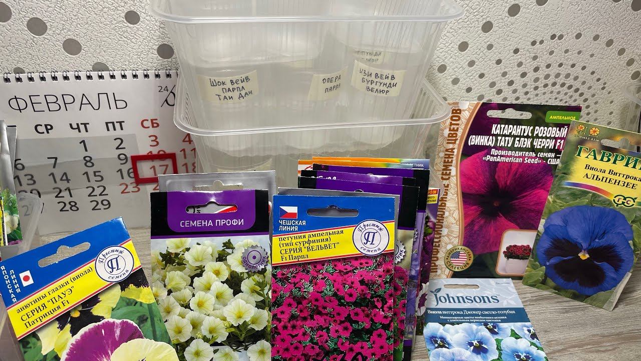 Пикирую Шабо, сею петунии. 17.02.24 смотреть онлайн