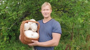 БИНГА !!! БОЛЬШАЯ УДАЧА ! ГРИБ ГОЛОВАЧ  !