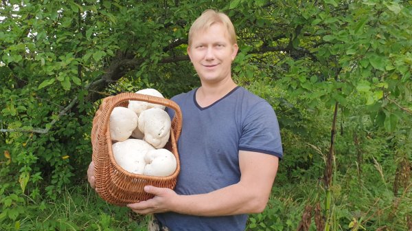 БИНГА !!! БОЛЬШАЯ УДАЧА ! ГРИБ ГОЛОВАЧ  !