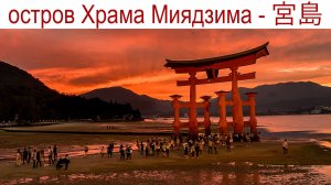 Ицукусима - остров Храма Миядзима - место в Японии, где я, наверное, мог бы жить!