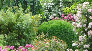 Наша душа - это наш сад.