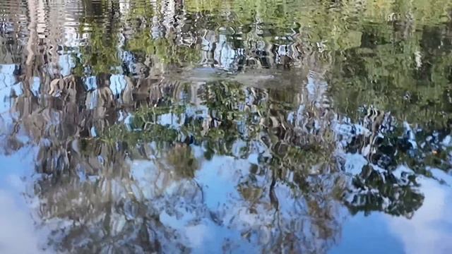 Едем в ГОСТИ к ПОДПИСЧИКУ во Флориде.(Rastorguev 🏡)