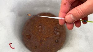 В МУТНОЙ ЛУНКЕ...СТАЯ прёт УДОЧКУ! Глухозимье раздаёт. Зимняя рыбалка 2026