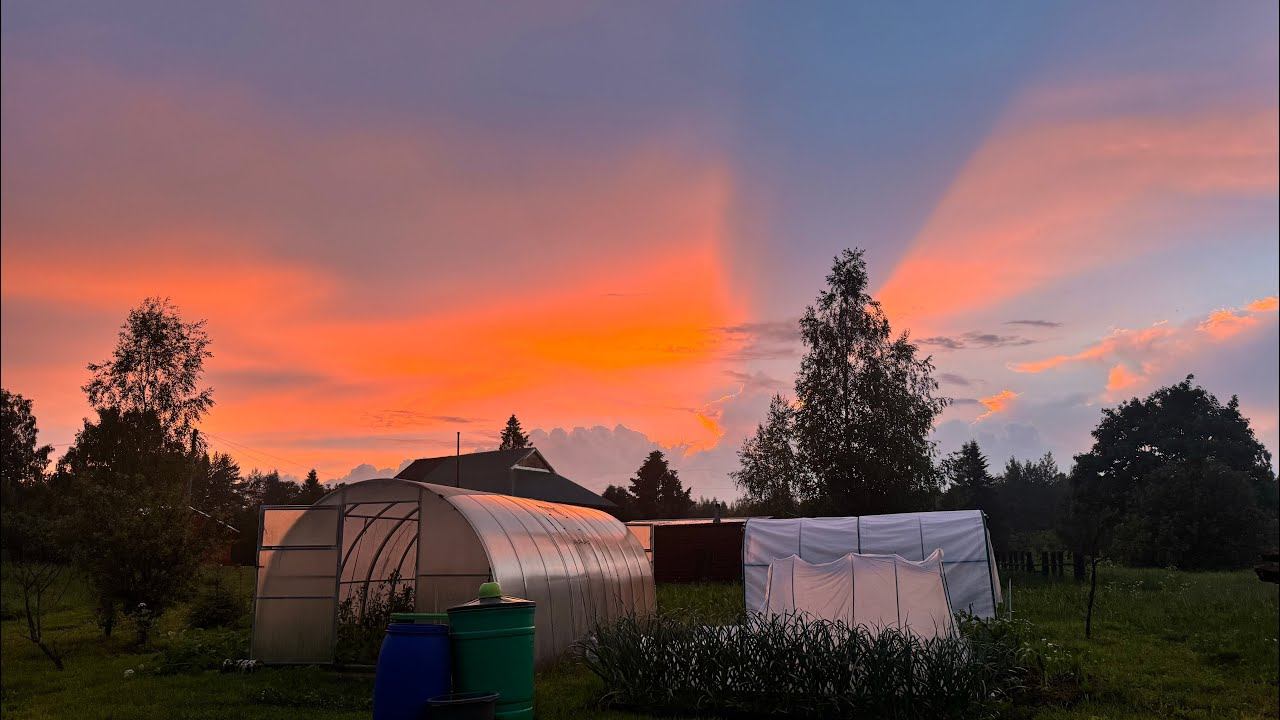15.06.24 Влог: УСПЕТЬ до ЗАКАТА! Формирую ПЕРЦЫ, пробую Хабанада смотреть онлайн
