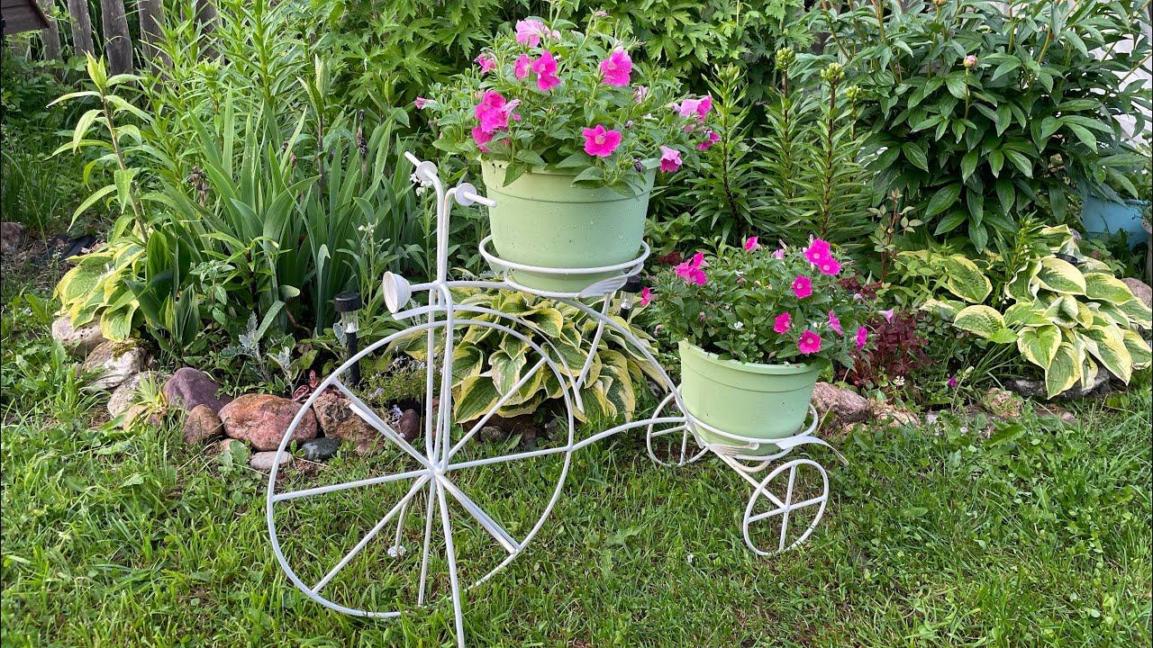 16.06.23 Влог. ЖАРА после заморозков. Выжившие. смотреть онлайн