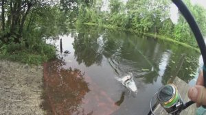 Колебалка 10гр.Жесть.№2