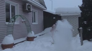 Утопаем в снегу❄️🤦На обед ёжики.. Жизнь в Нижегородской деревне Хроника дня.