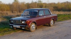 Вишнёвая семёрка Dogewell