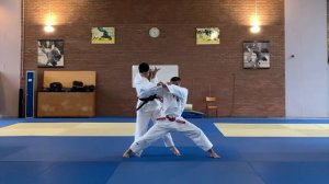 LES BASES DE TAI OTOSHI
