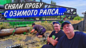 Агроном и три его "ЗАМа" решили - надо пробовать рапс. Снова нас балуют BKT и Дело Техники!