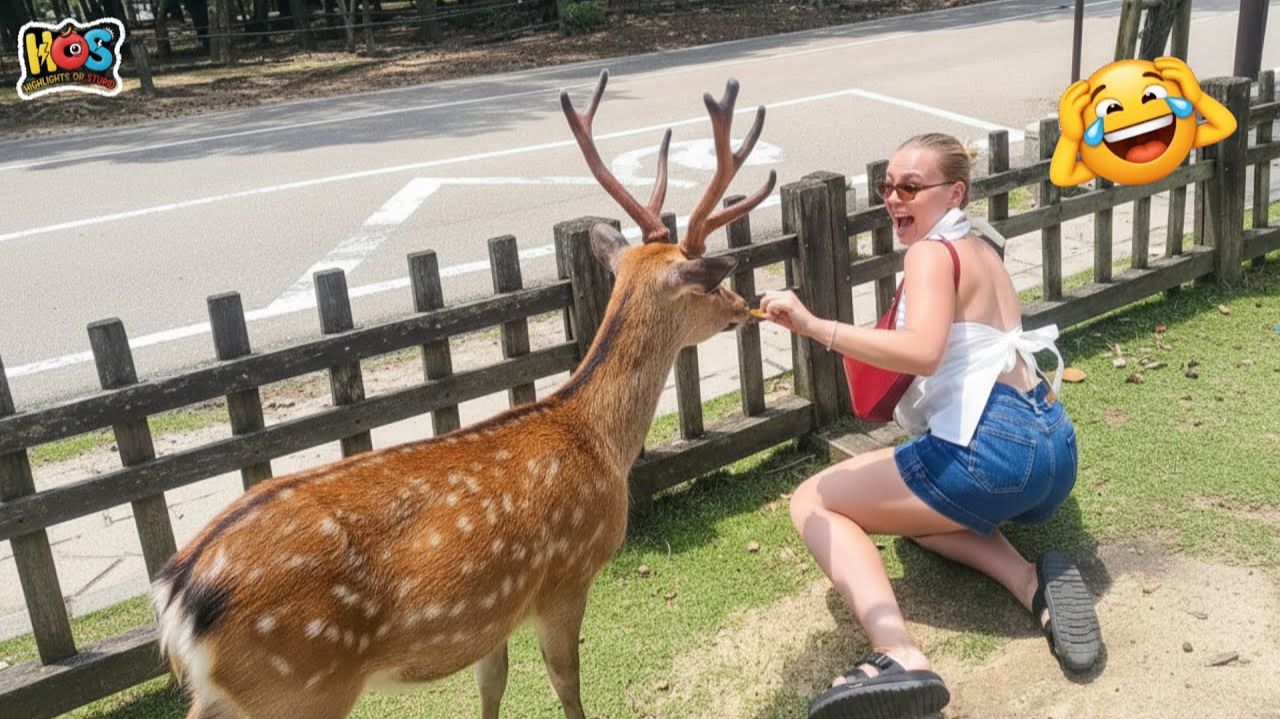 ЕСЛИ ТЫ СМЕЕШЬСЯ, ТЫ ТЕРЯЕШЬ УРОВЕНЬ БОГА 😂 СМЕЮЩИЕСЯ ВИДЕО 🤣 ❌ МОМЕНТЫ XD смотреть онлайн
