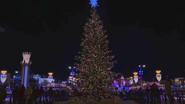 Новогодняя ночь на ВДНХ (2024-2025)