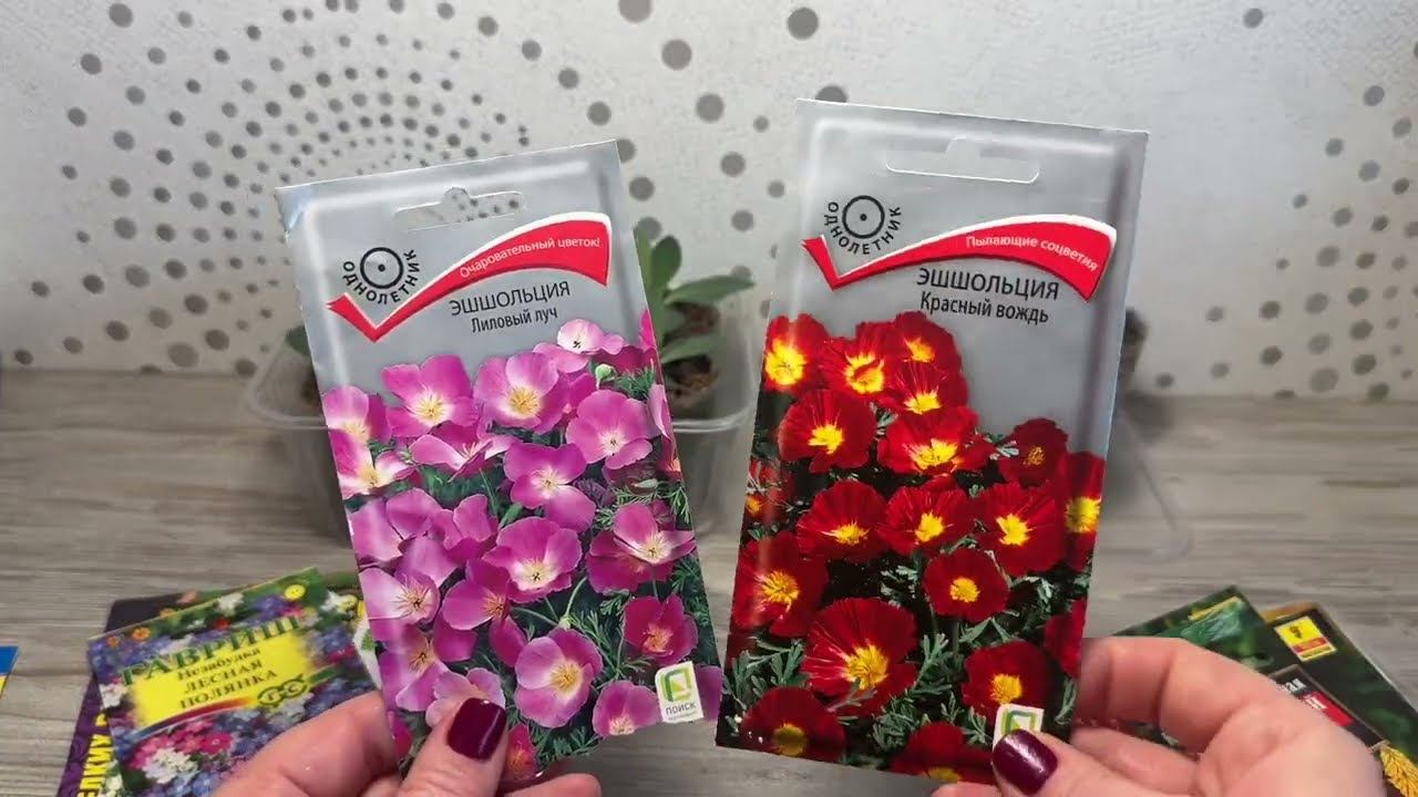 Семена многолетников, проверенные и новинки на 2025 смотреть онлайн