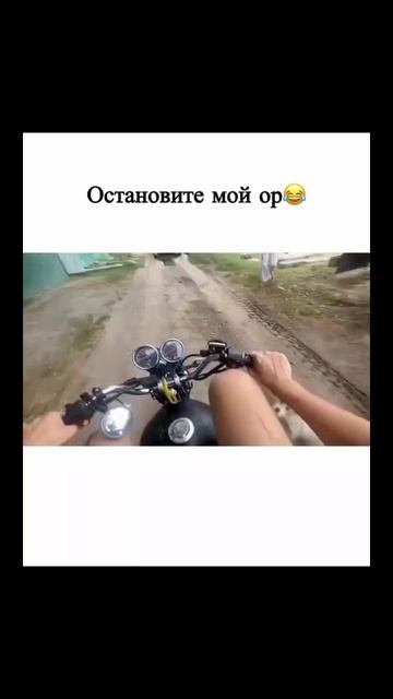 #пивасик #смех #юмор #прикол #ржака #собака #животные