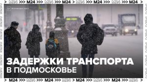 Жителей Подмосковья предупредили о задержках транспорта до 1,5 часа из-за снегопада - Москва 24