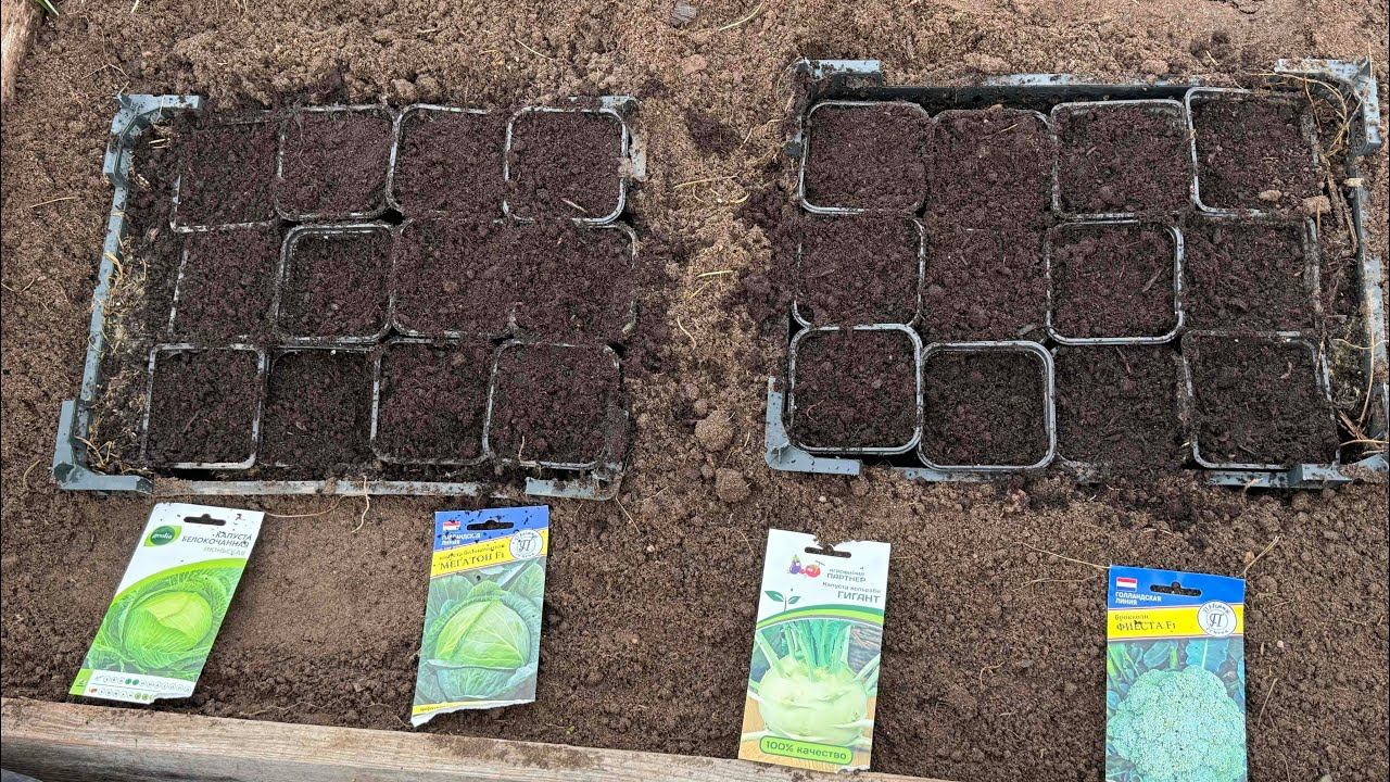 05.04.25 Влог: что сею, грунт для капусты, Мой садовый трудодень смотреть онлайн