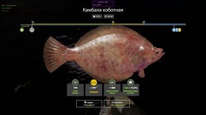 Чит на Русскую Рыбалку 4Качественный чит без бана!!