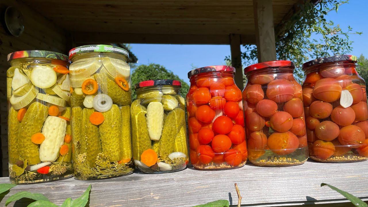 ВЛОГ отпуск в деревне ч.2 АРБУЗ урожай, заготовки, готовимся к холодам смотреть онлайн