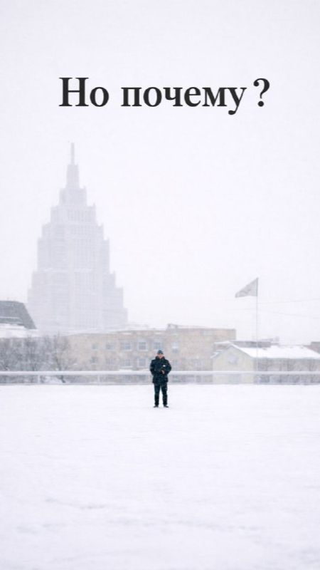 Этот пингвин покинул рынок акций! Но почему? смотреть онлайн