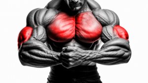 Мышцы станут Глыбами: быстрая и эффективная тренировка грудных и трицепсов!