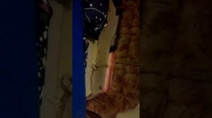 пытаемся достать кота