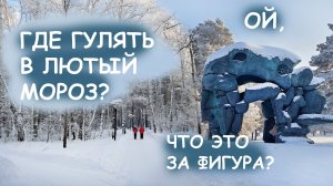 ГДЕ ПОГУЛЯТЬ В КРАСНОЯРСКЕ В СИЛЬНЫЙ МОРОЗ? СКАЗОЧНЫЙ ЛЕС