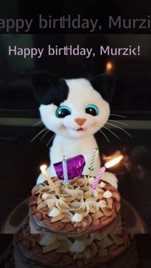 У Мурзика день рождения!