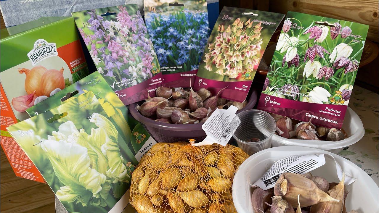 Новинки луковичных из Леруа Мерлен и их посадка смотреть онлайн