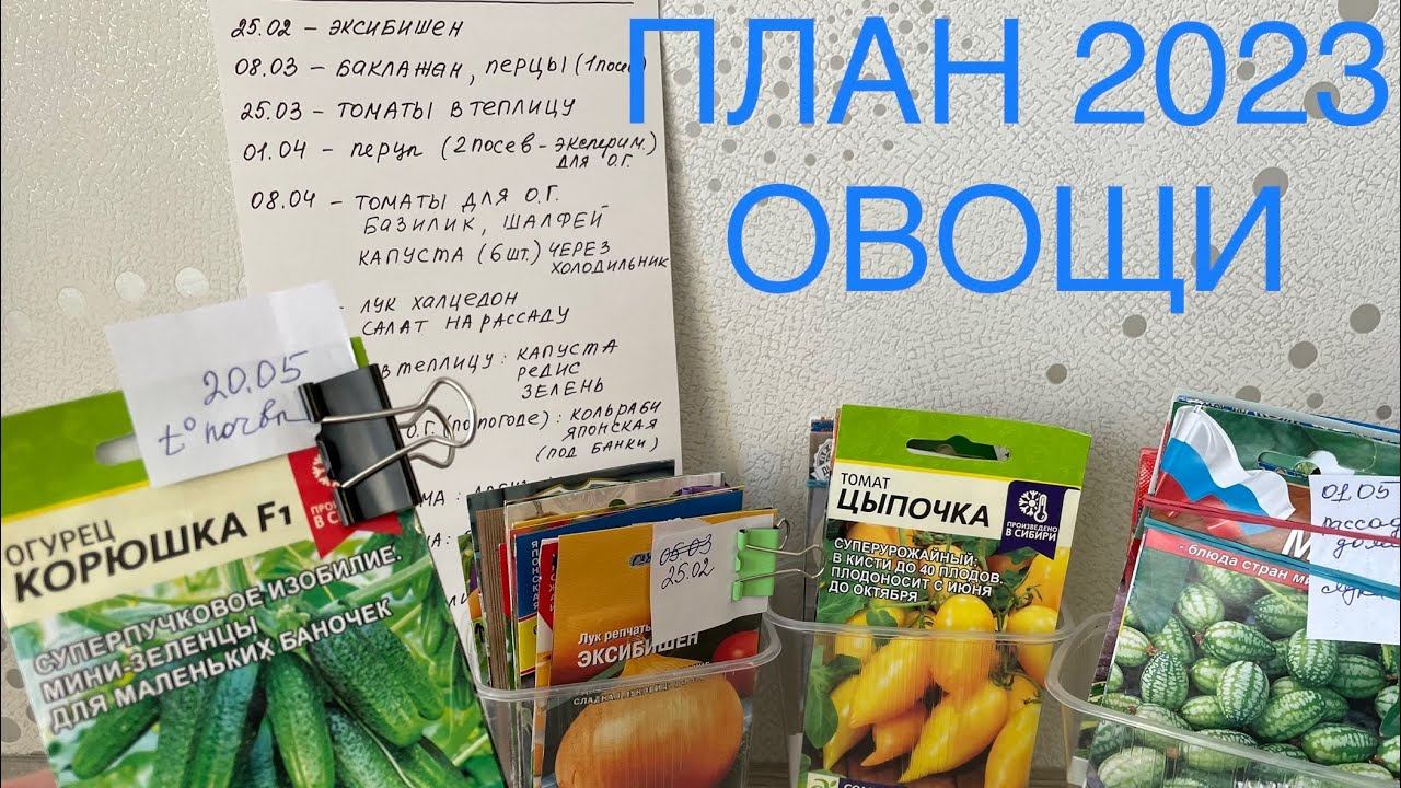ПЛАН посева 2023. Весь ОВОЩНОЙ НАБОР в одном видео смотреть онлайн