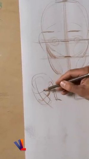 Как найти скулы при рисовании портрета