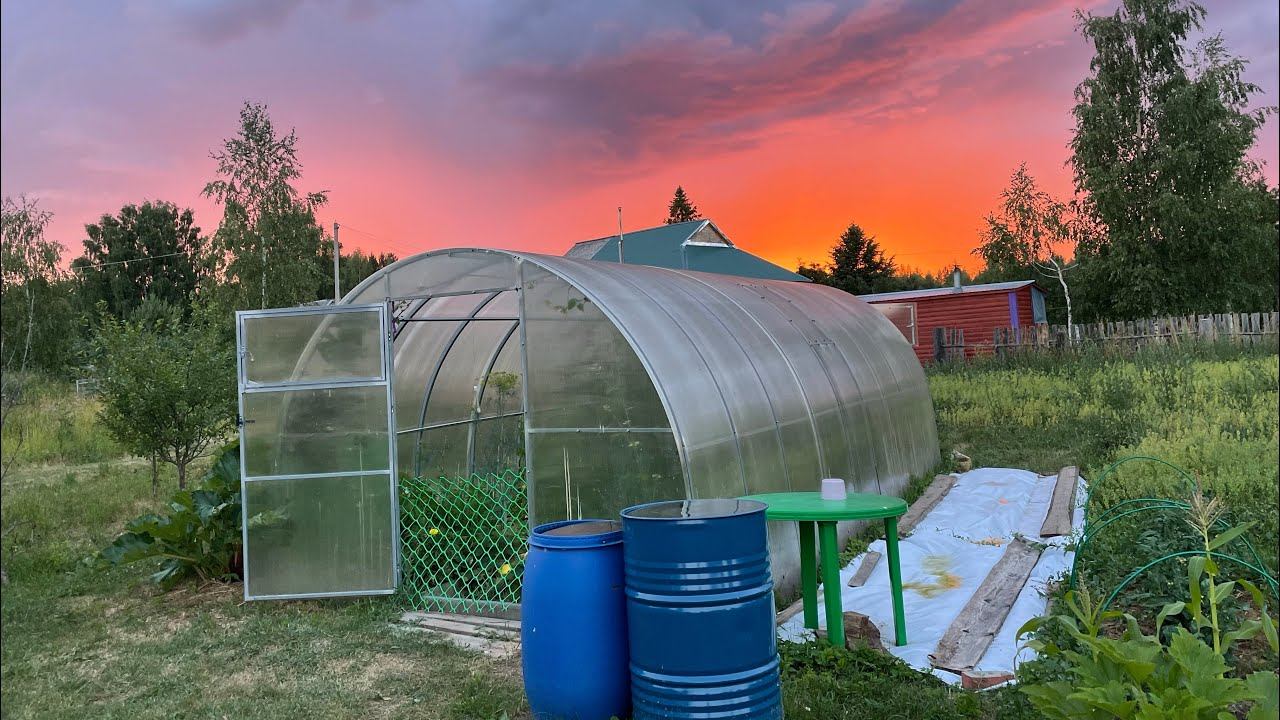 16.06.22 томатам-янтарную, от клеща розам-битоксибацилин, сработает? смотреть онлайн