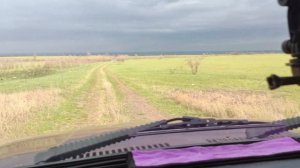 Предверье грозы.