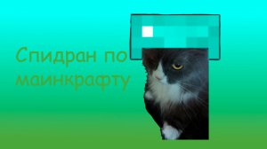 Спидран по майну