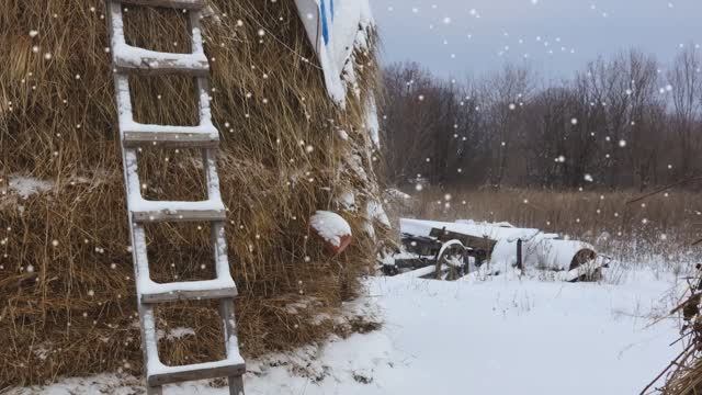 Зимнее настроение