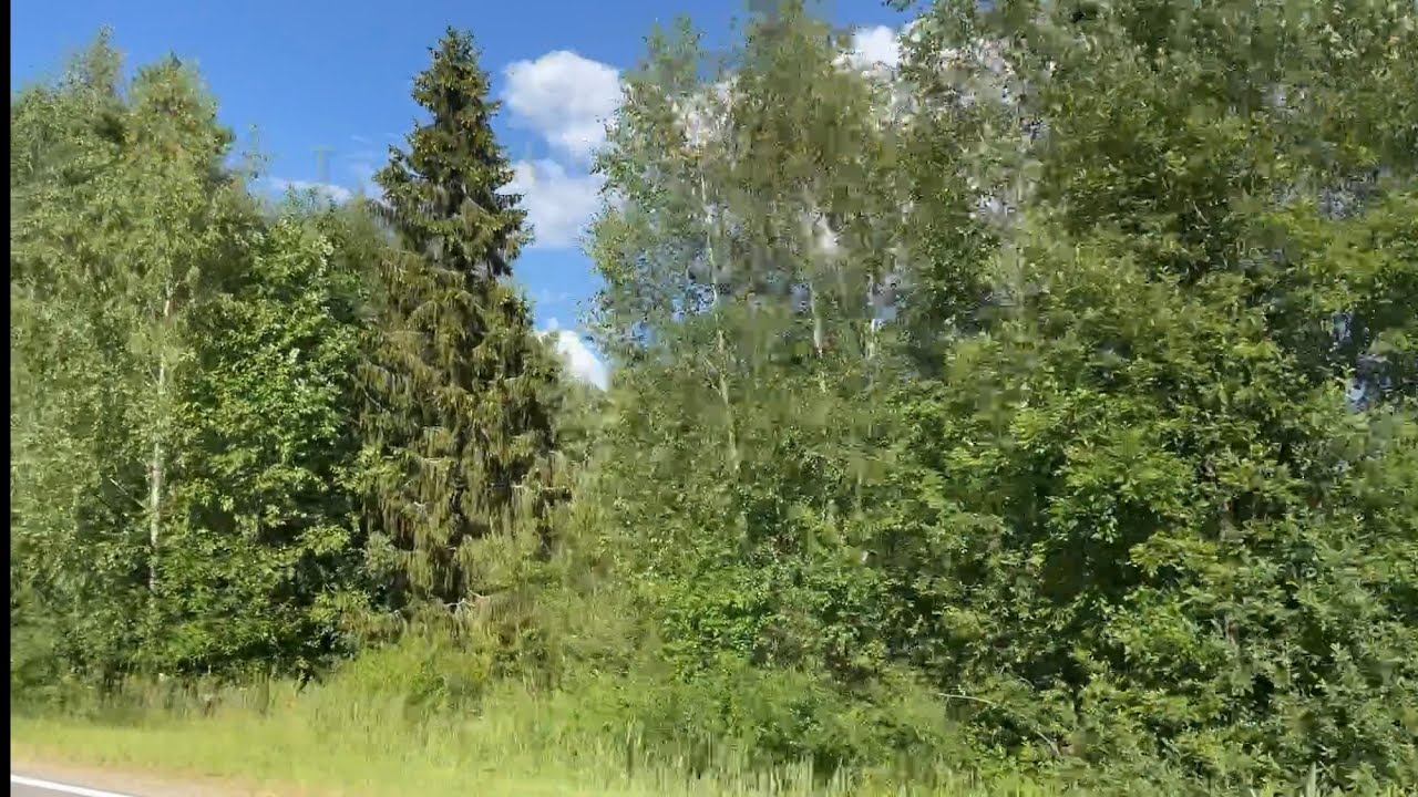 16.07.22 ЗА ГРИБАМИ июль, жара, нашли ))) смотреть онлайн