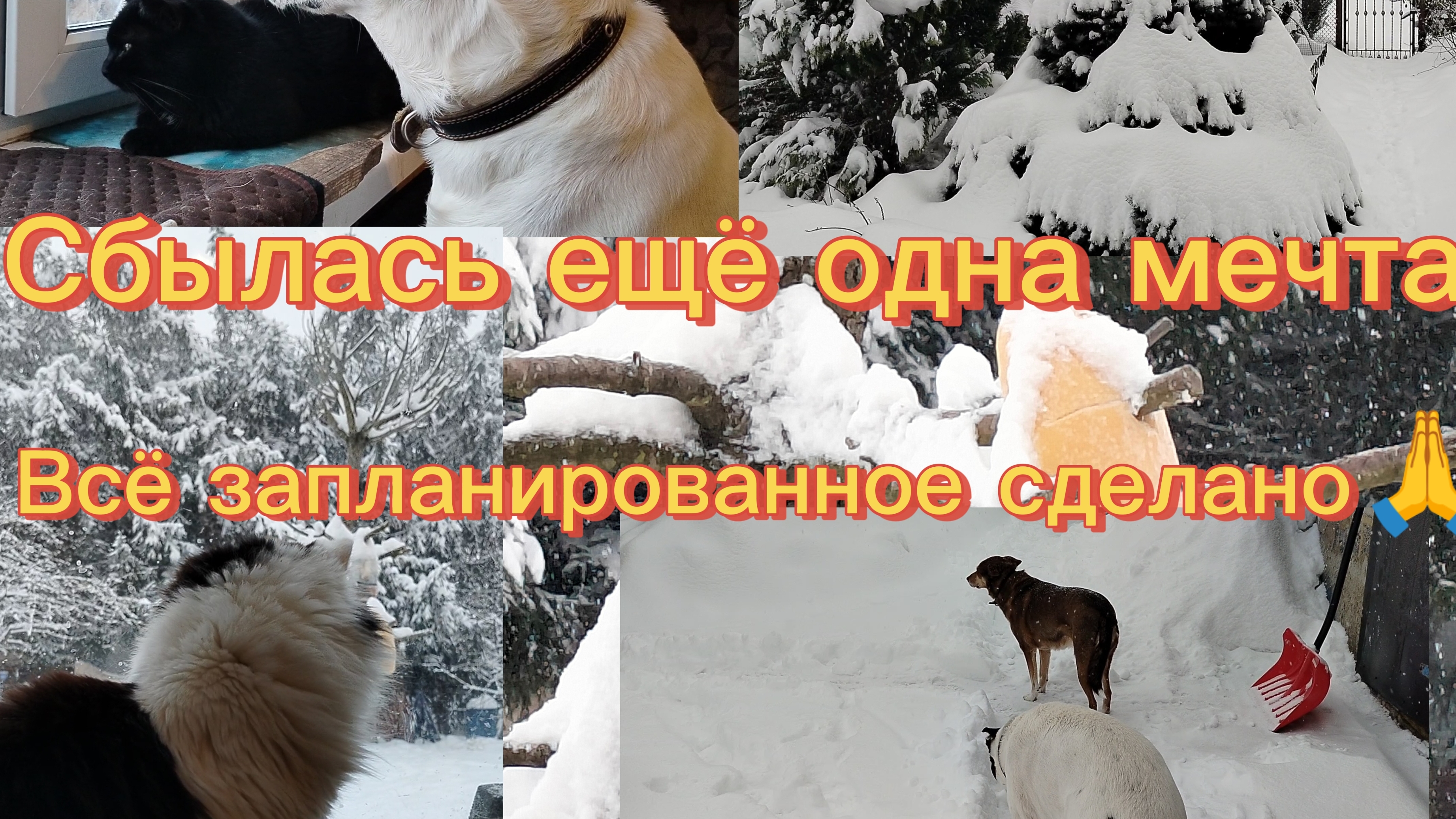 Сбылась ещё одна мечта.Всё запланированное сделано.Спасибо🙏