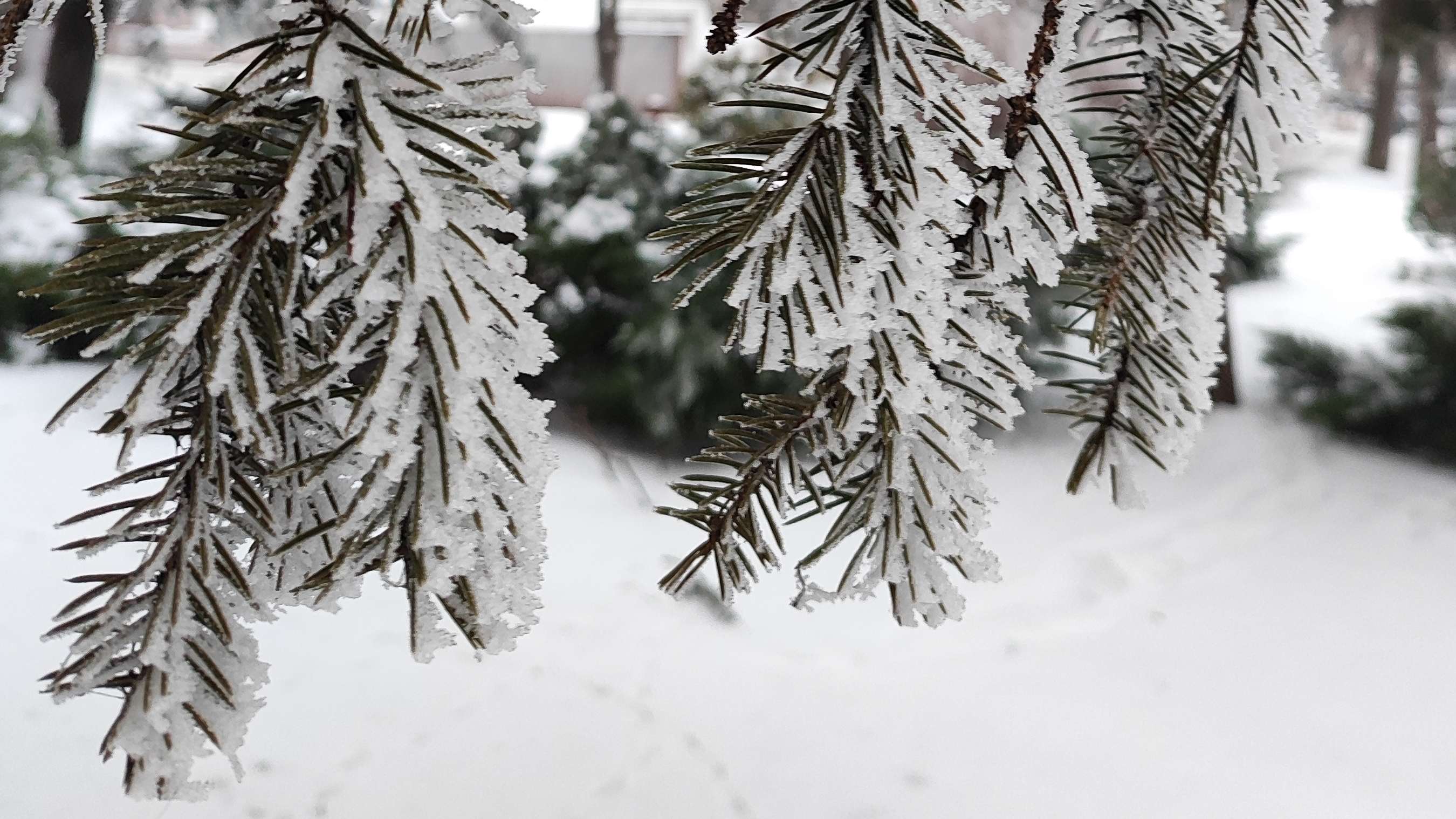 Зимний Волгоград 29-01-2026 смотреть онлайн