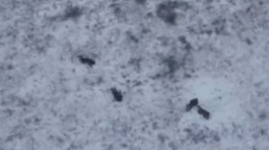 🔴Группа из четырёх пятаков попадает под стрелковый огонь и бесславно сдыхает🔴