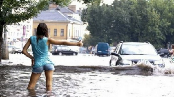 Окунитесь в мир невероятной грации и интеллекта!