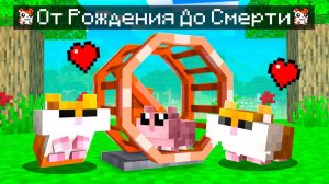 😨 Майнкрафт но Мы Стали СЕМЬЕЙ ХОМЯКОВ!