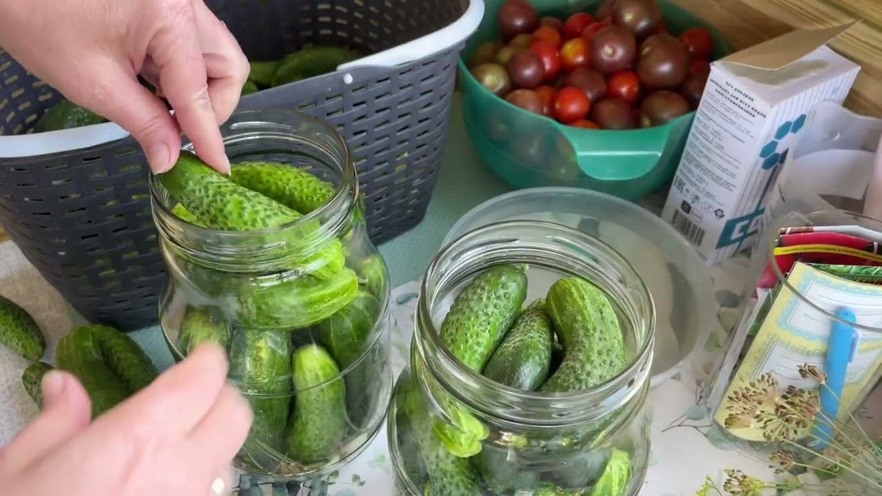 Огуречные заботы. КВАШУ ОГУРЦЫ смотреть онлайн