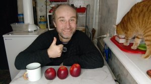 завтрак с Рыжулей. толи телефон всё, толи микрофон. мукбанг. обжор. еда на камеру. диета. шизофрения