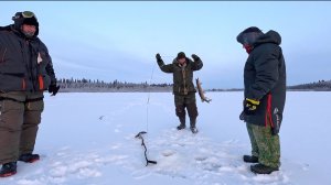 СКАЗОЧНАЯ РЫБАЛКА, ПАЛКИ ЖЕРЛИЦЫ | 1 ЧАСТЬ