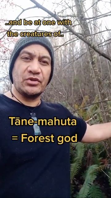 Такой концовки я и сам не ожидал (170) смотреть онлайн