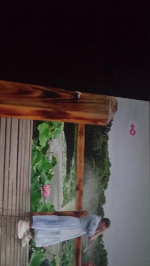 беременна в 16