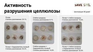 Как управлять здоровьем почвы на своем участке?