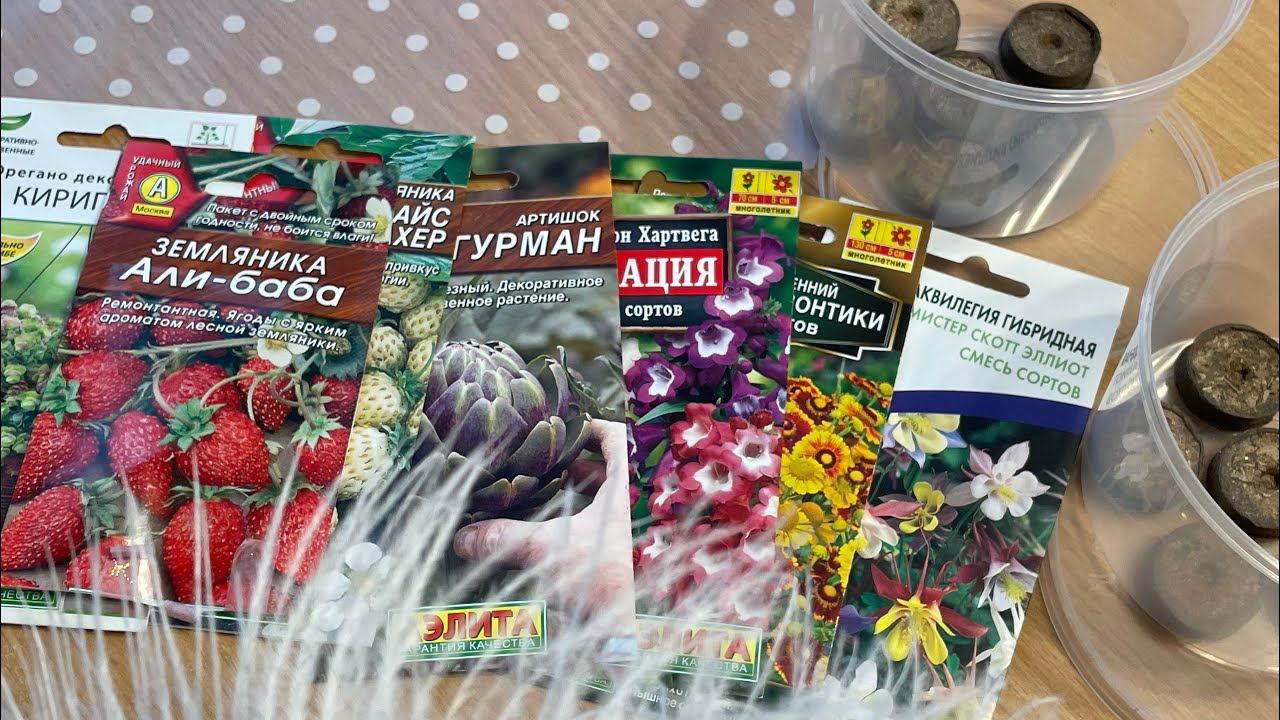 СТРАТИФИКАЦИЯ❄️ какие семена и как убрать на стратифицирование смотреть онлайн