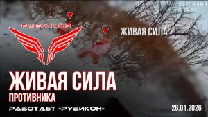 Живая сила противника. По боевикам ВСУ «Рубикон» продолжает охоту